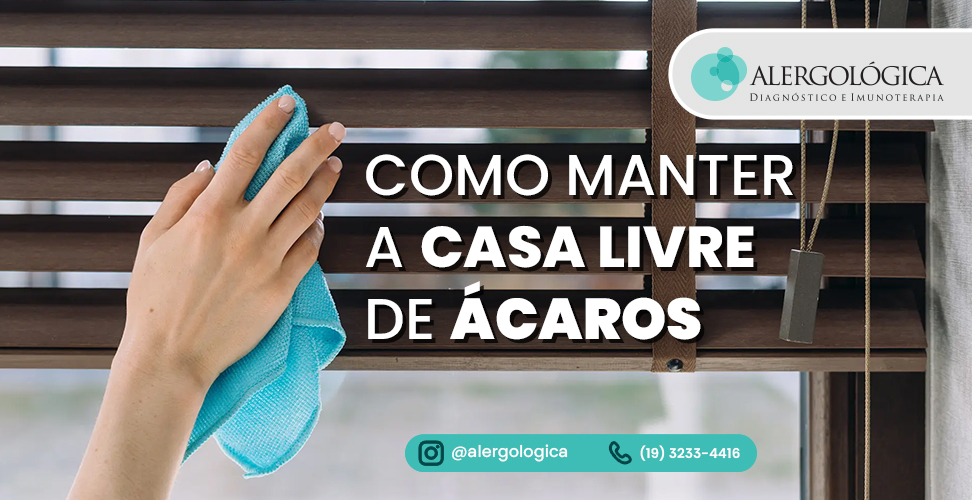 Clinica Alergologica - Blog - Como manter a casa livre de acaros